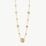 SAVE £10 with Canum Bundle Set - EzaVision - Set - SAVE £10 with Canum Bundle Set - EzaVision