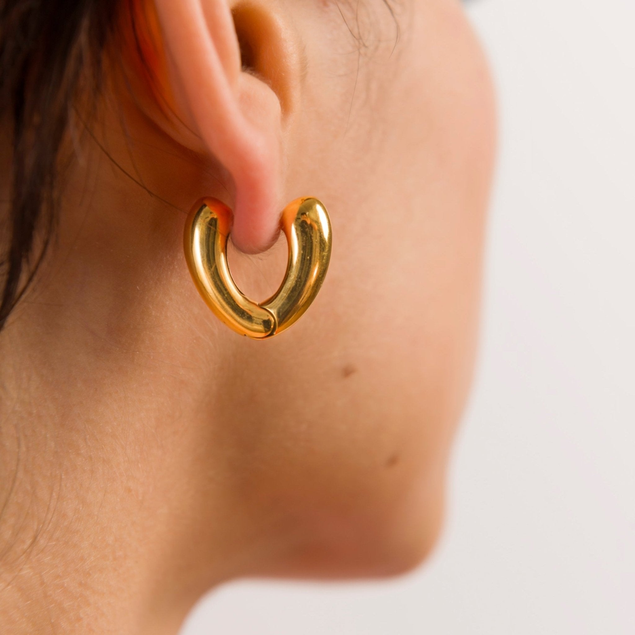 Cacus Earrings - EzaVision - Earrings - Cacus Earrings