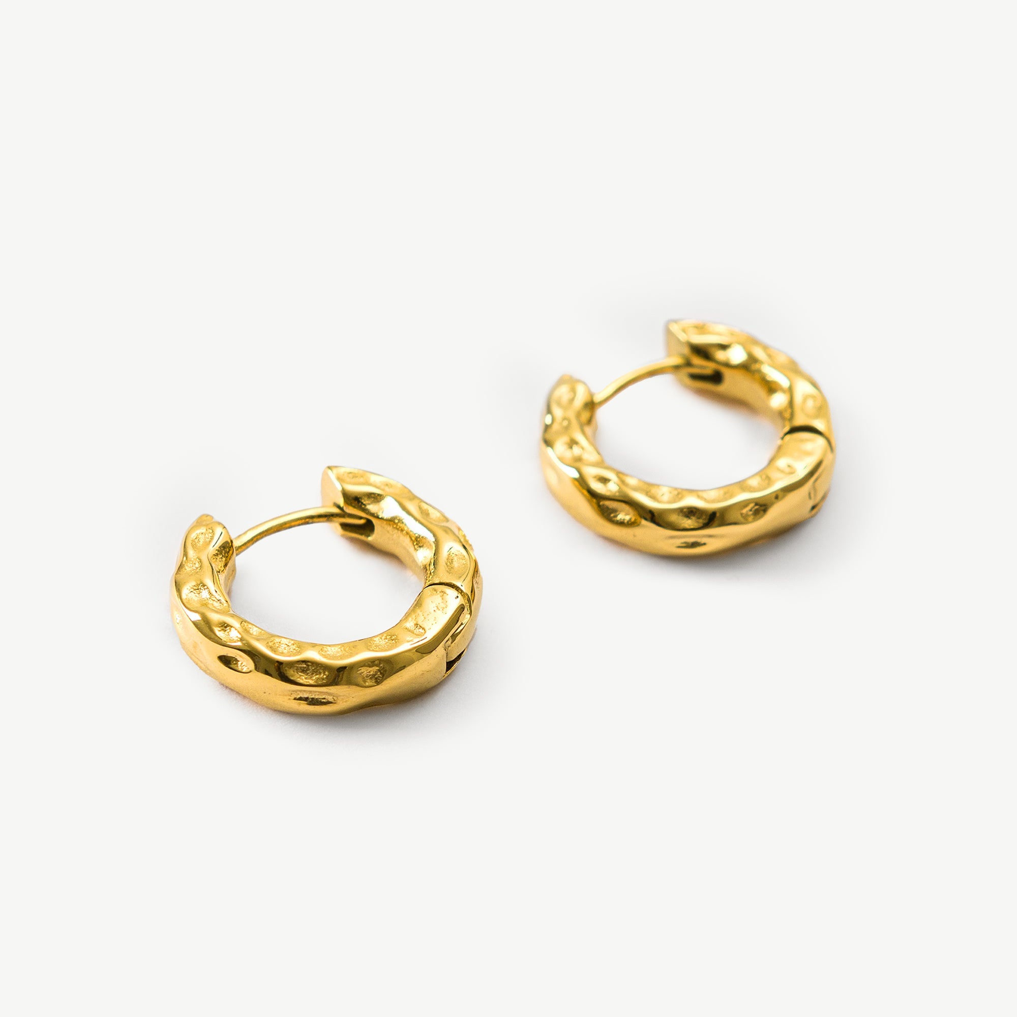 Cassandra Hoop Earrings - EzaVision - Earrings - Cassandra Hoop Earrings