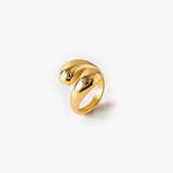 Aurora Ring - EzaVision - Ring - Aurora Ring