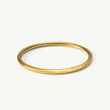 Ganymede Bangle - EzaVision - Bracelets - Ganymede Bangle