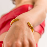 Lapetus Bangle - EzaVision - Bracelets - Lapetus Bangle